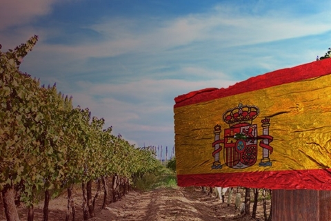 Rượu vang Tây Ban Nha tháng 6 – Sắc màu Địa Trung Hải trong từng giọt rượu