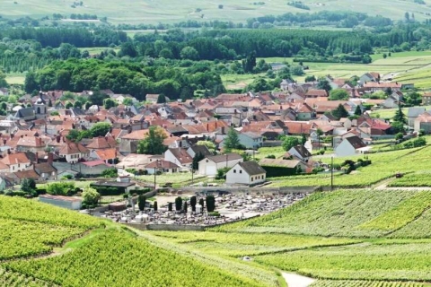 Khám Phá Các Nhà Làm Vang Ở Nam Bán Cầu – Mùa Thu Hoạch Tháng 7